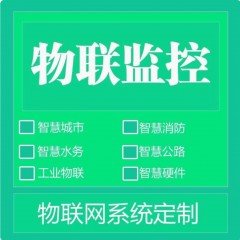 物联网监测平台应用软件开发大型视频监控平台 数据库管理软件